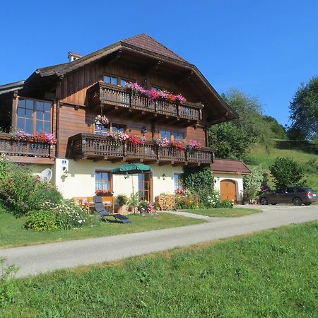 Ferienwohnung Brigitte Perner Nussdorf am Attersee Exteriér fotografie